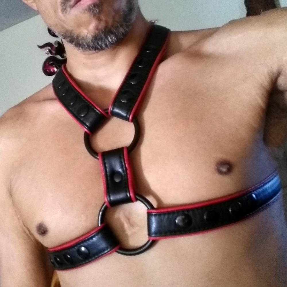 Genuine Leather Men's Harness - Picture 1 of 8